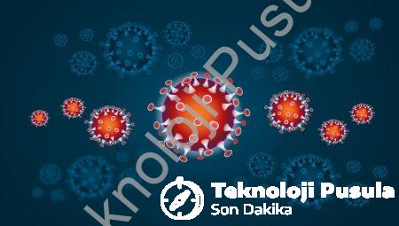 Article Main Title: Mangalda Et Mangalda et pişirmenin keyfini çıkarırken dikkat edilmesi gerekenler ve farklı et çeşitleri hakkında bilgiler.