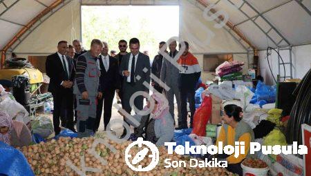 Dinar’da ceviz sezonu başladı: Üretici rekolteden memnun