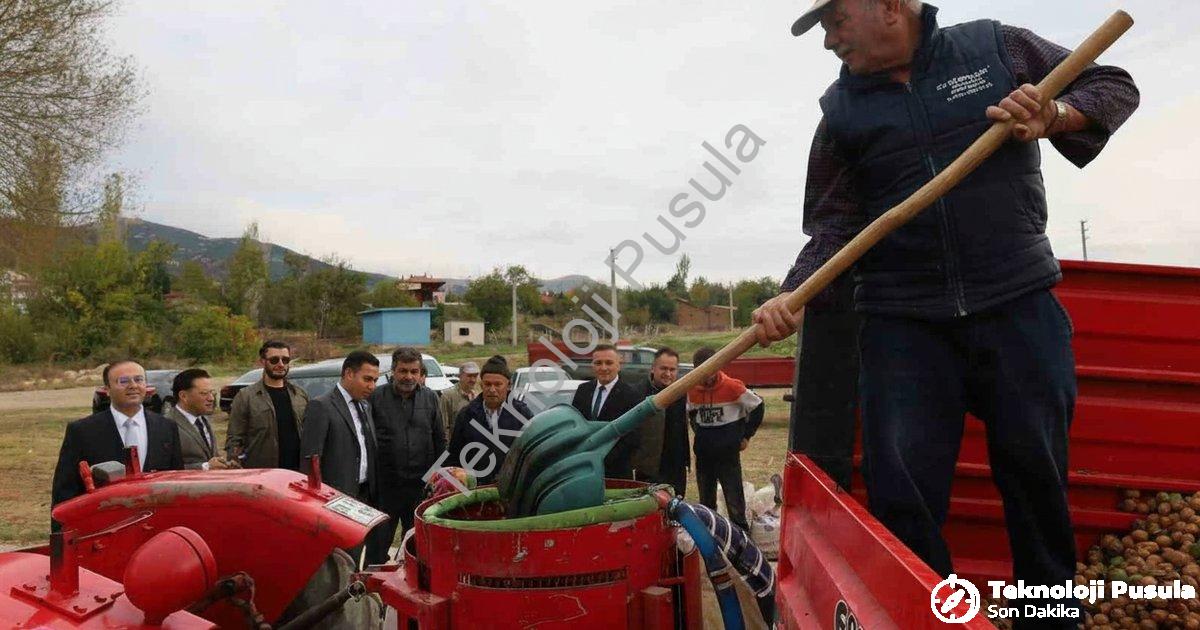 AFYONKARAHİSAR'IN DİNAR İLÇESİNDE CEVİZ HASADI BAŞLARKEN, REKOLTENİN BU YIL ÇİFTÇİLERİ MEMNUN ETTİĞİ BELİRTİLDİ.