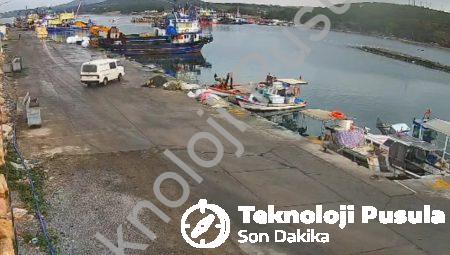 Didim’de Korku Dolu Anlar: Kontrolden Çıkan Otomobil Denize Uçtu