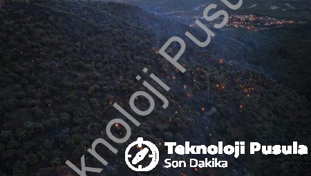 Aydın Bozdoğan’da Korkutan Yangın: Alevler Kontrol Altına Alındı