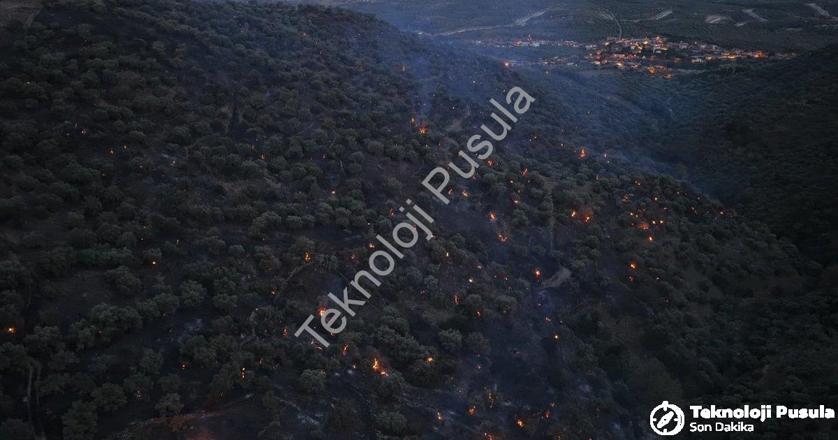 "Aydın Bozdoğan'da Korkutan Yangın: Alevler Kontrol Altına Alındı" başlıklı haber için fotorealistik