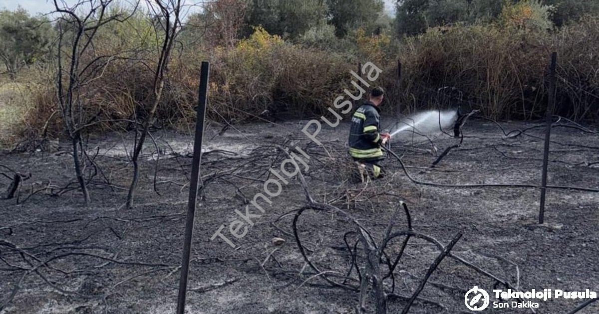 "Muğla Yatağan'da Korkutan Gelişme: Üzüm Bağları Alevlere Teslim Oldu" başlıklı haber için fotoreali