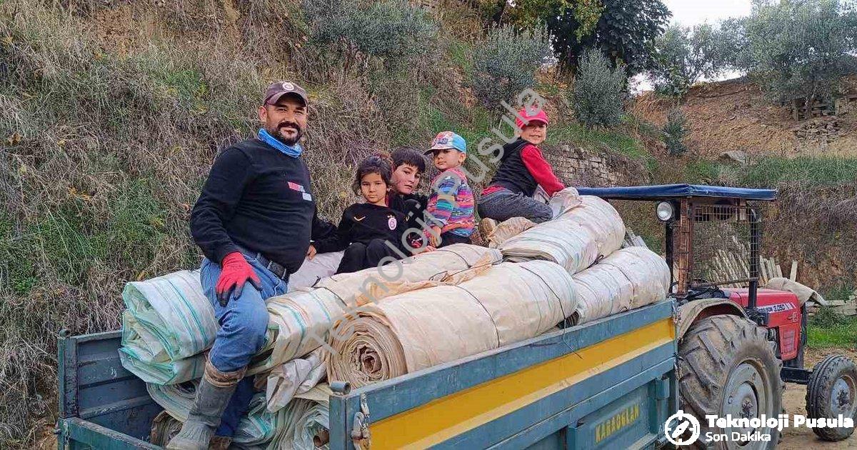"Sarıgöl'de Hasat Sonrası Telaş: Üzüm Bağları Kışa Hazırlanıyor" başlıklı haber için fotorealistik,