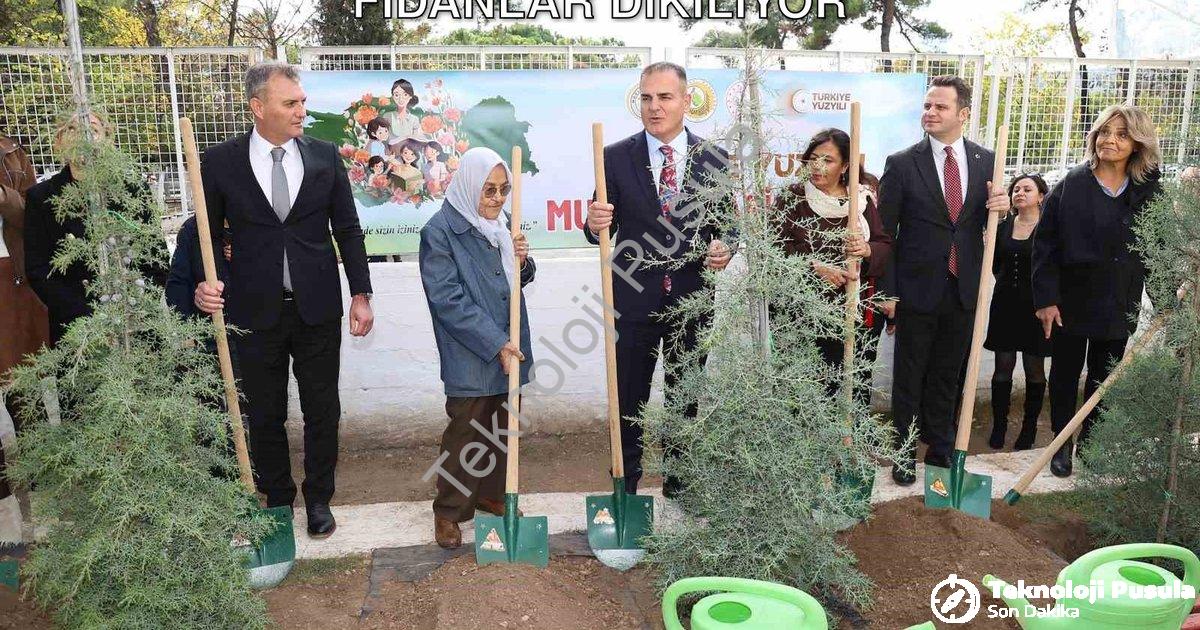 "Muğla'da 16 Bin 453 Öğretmen İçin Fidanlar Dikiliyor" başlıklı haber için fotorealistik, profesyone