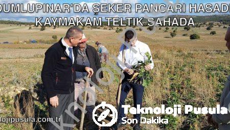 Dumlupınar’da Şeker Pancarı Hasadı: Kaymakam Teltik Sahada