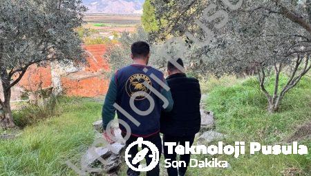 Söke’de Jandarma Operasyonu: Firari Şahıs Ormanlık Alanda Kıskıvrak Yakalandı
