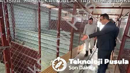 Sarıgöl’de Sokak Canları İçin Örnek Çalışma: Kaymakam Dalak’tan Yakın Markaj