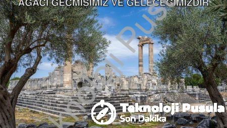 Didim Belediye Başkanı Gençay: Zeytin Ağacı Geçmişimiz ve Geleceğimizdir