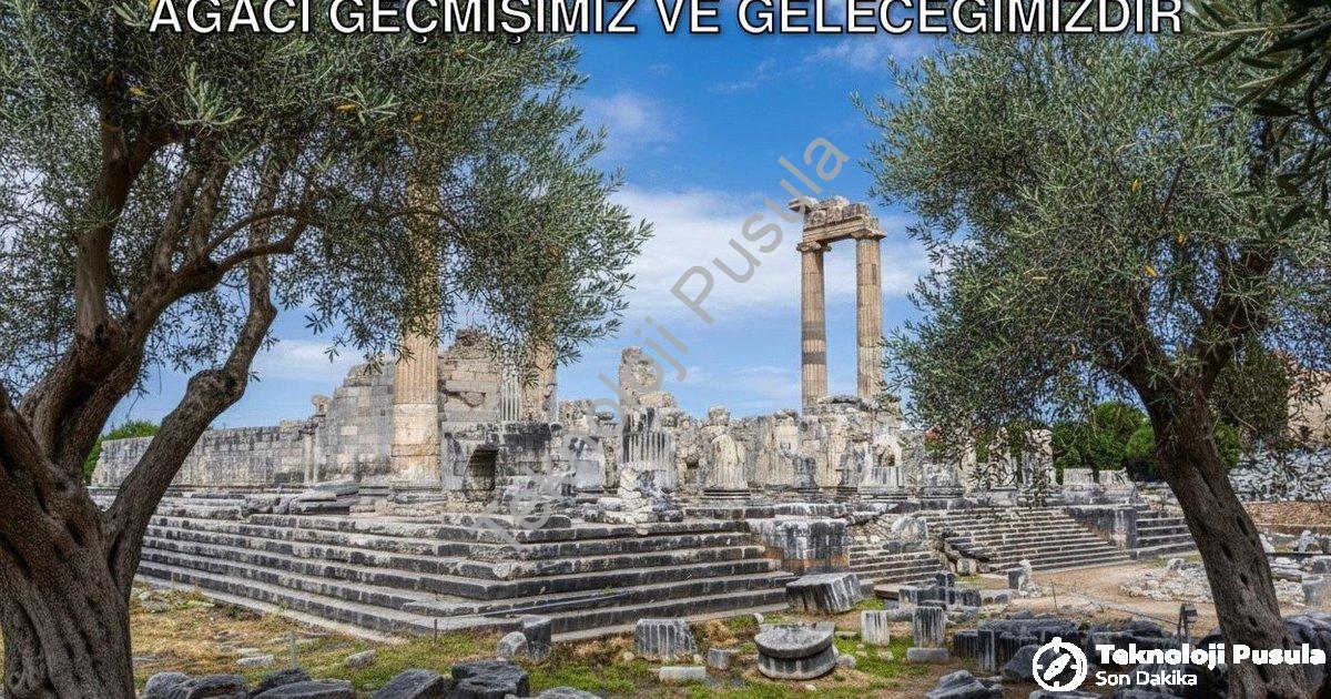 "Didim Belediye Başkanı Gençay: Zeytin Ağacı Geçmişimiz ve Geleceğimizdir" başlıklı haber için fotor