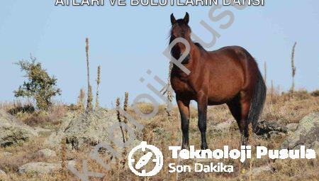 Afyonkarahisar’da Görsel Şölen: Yılkı Atları ve Bulutların Dansı