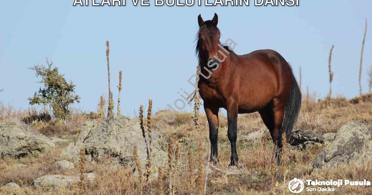 "Afyonkarahisar'da Görsel Şölen: Yılkı Atları ve Bulutların Dansı" başlıklı haber için fotorealistik