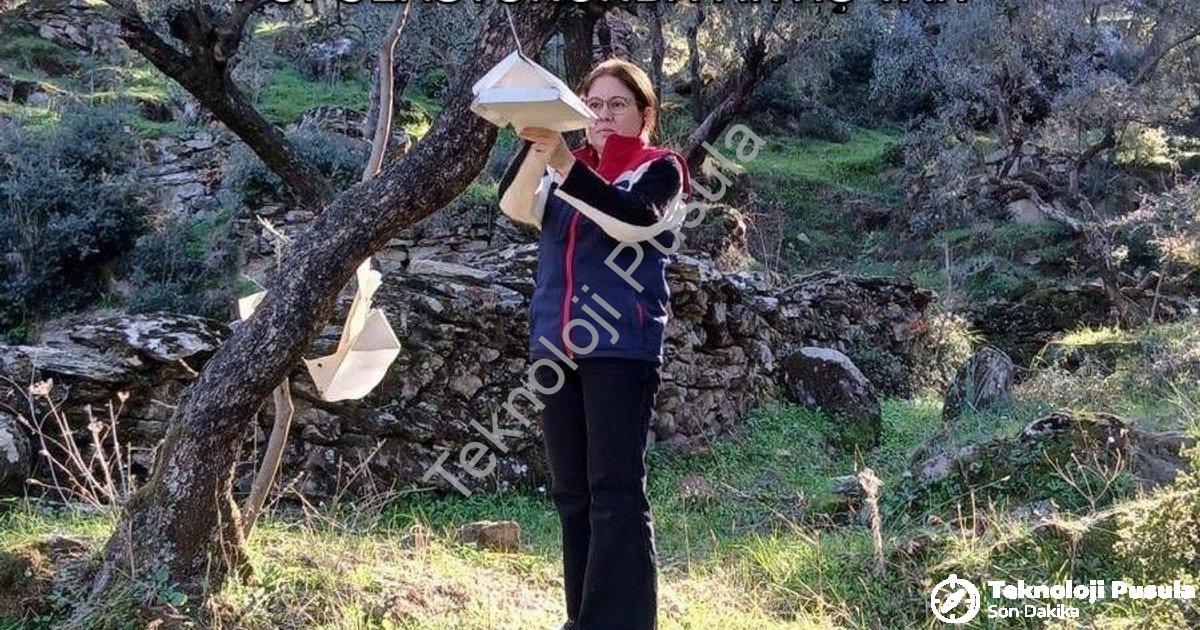 "Söke'de Çiftçiye Kritik Uyarı: Zararlı Popülasyonunda Artış Var" başlıklı haber için fotorealistik,