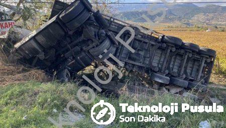 Manisa Alaşehir’de Korkutan Kaza: Süt Tankeri Üzüm Bağına Devrildi