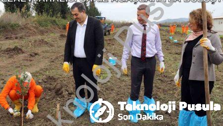 Dalaman’da Tarımsal Kalkınma Hamlesi: Cezaevi Arazisi Sakız Ağaçlarıyla Buluştu