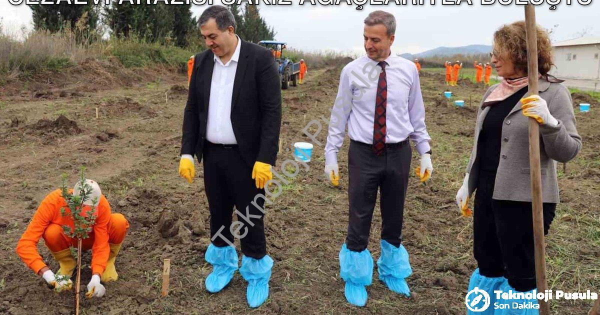 "Dalaman'da Tarımsal Kalkınma Hamlesi: Cezaevi Arazisi Sakız Ağaçlarıyla Buluştu" başlıklı haber içi