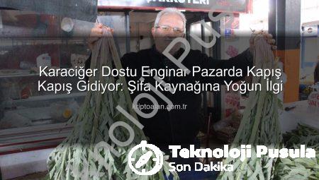 Enginarın Gizli Gücü: Karaciğer Dostu Bu Şifa Kaynağı Pazarda Yok Satıyor!