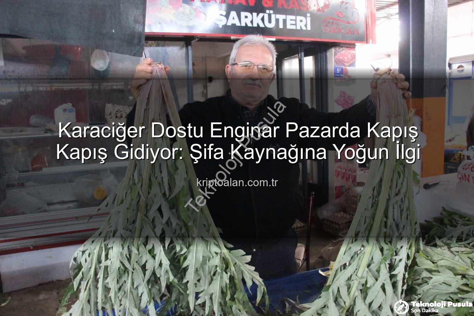 karaciğer dostu enginar - Enginarın Gizli Gücü: Karaciğer Dostu Bu Şifa Kaynağı Pazarda Yok Satıyor!