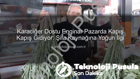 Karaciğer Dostu Enginar Pazarda Kapış Kapış Gidiyor: Şifa Kaynağına Yoğun İlgi