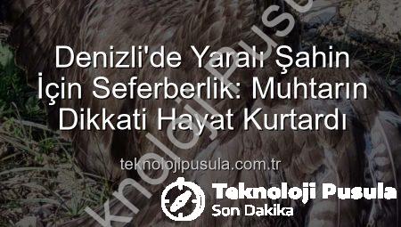 Denizli’de Yaralı Şahin İçin Seferberlik: Muhtarın Dikkati Hayat Kurtardı