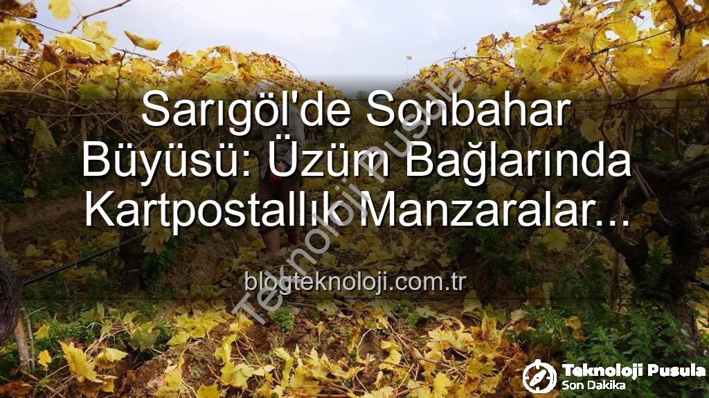 Sarıgöl bağları - Sarıgöl Bağlarında Kartpostallık Güzellik Eşliğinde Budama: Doğanın Renk Cümbüşü İşçilere Huzur Katıyor