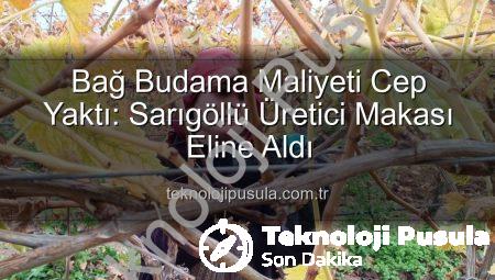 Bağ Budama Maliyeti Cep Yaktı: Sarıgöllü Üretici Makası Eline Aldı