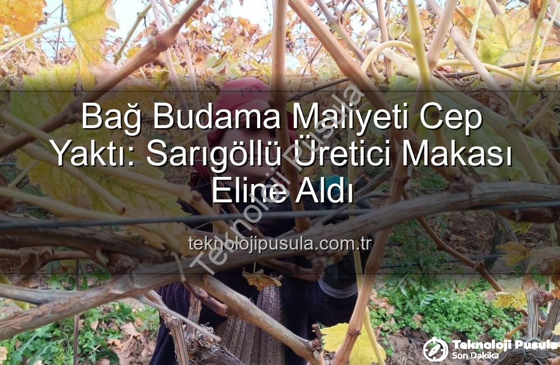 bağ budama maliyeti - Bağ Budama Maliyeti Cep Yaktı: Sarıgöllü Üretici Makası Eline Aldı