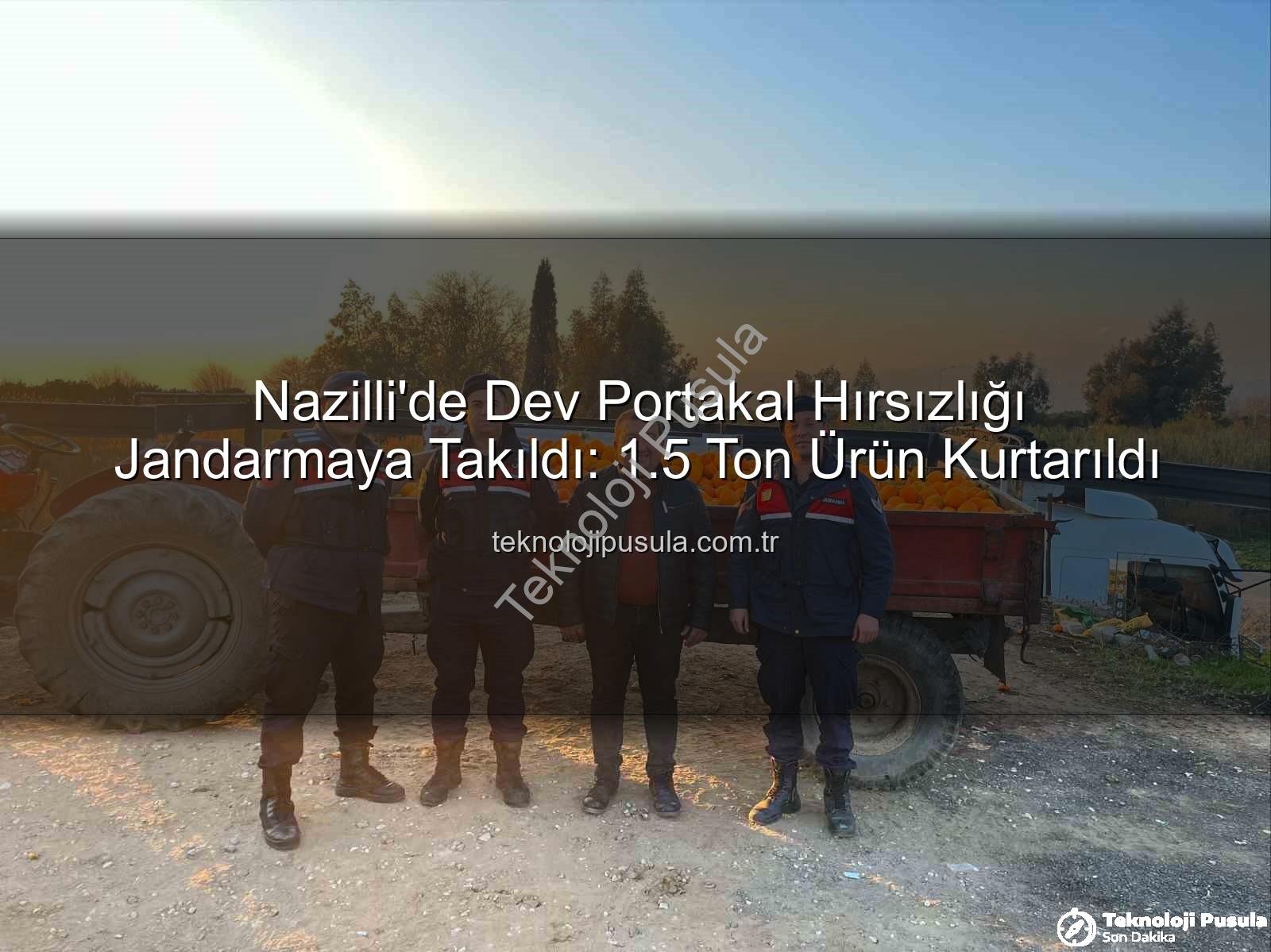 portakal hırsızlığı - Nazilli'de Dev Portakal Hırsızlığı Jandarmaya Takıldı: 1.5 Ton Ürün Kurtarıldı