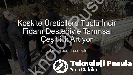Köşk’te Üreticilere Tüplü İncir Fidanı Desteğiyle Tarımsal Çeşitlilik Artıyor