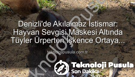 Denizli’de Akılalmaz İstismar: Hayvan Sevgisi Maskesi Altında Tüyler Ürperten İşkence Ortaya Çıktı