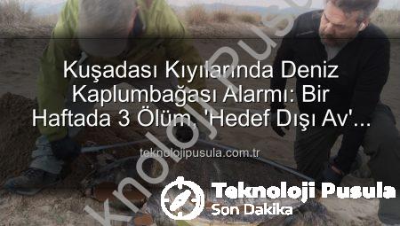 Kuşadası Kıyılarında Deniz Kaplumbağası Alarmı: Bir Haftada 3 Ölüm, ‘Hedef Dışı Av’ Şüphesi