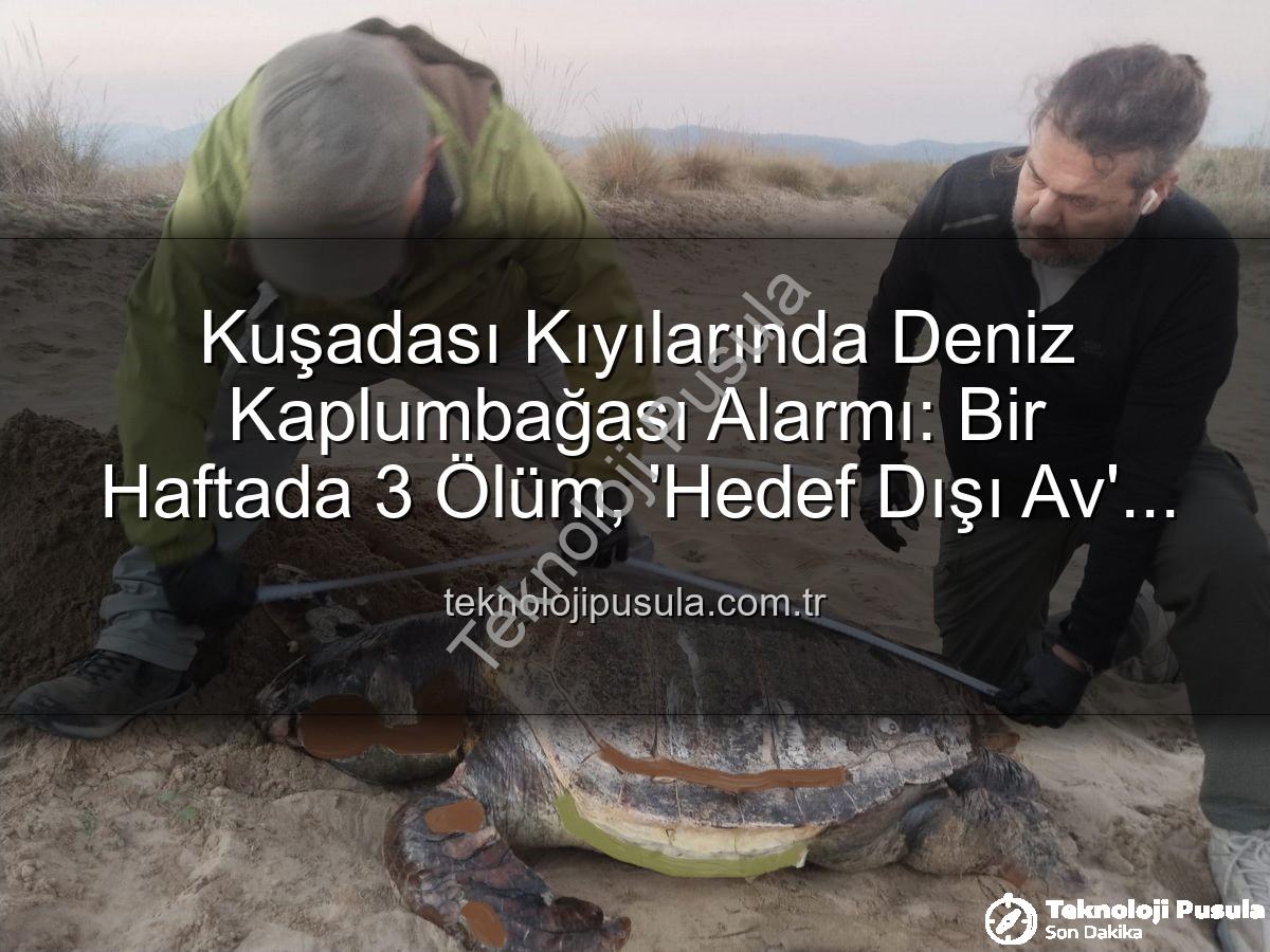 deniz kaplumbağası ölümü - Kuşadası Kıyılarında Deniz Kaplumbağası Alarmı: Bir Haftada 3 Ölüm, 'Hedef Dışı Av' Şüphesi