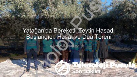 Yatağan’da Bereketli Zeytin Hasadı Başlangıcı: Hasat ve Dua Töreni