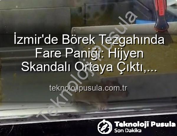 börek tezgahında fare - İzmir'de Börek Tezgahında Fare Paniği: Hijyen Skandalı Ortaya Çıktı, İşletme Mühürlendi!