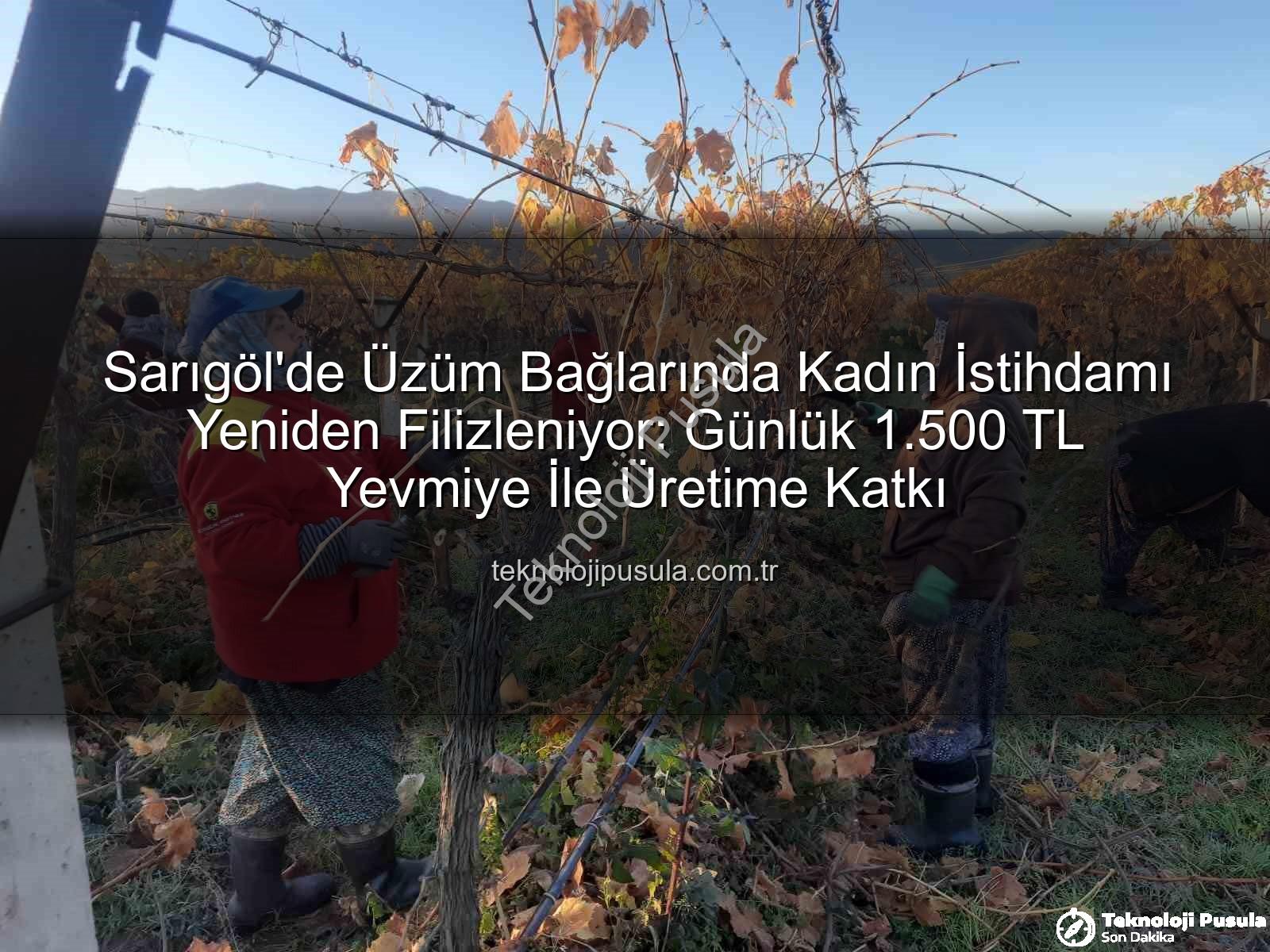 kadın istihdamı - Sarıgöl'de Üzüm Bağlarında Kadın İstihdamı Yeniden Filizleniyor: Günlük 1.500 TL Yevmiye İle Üretime Katkı