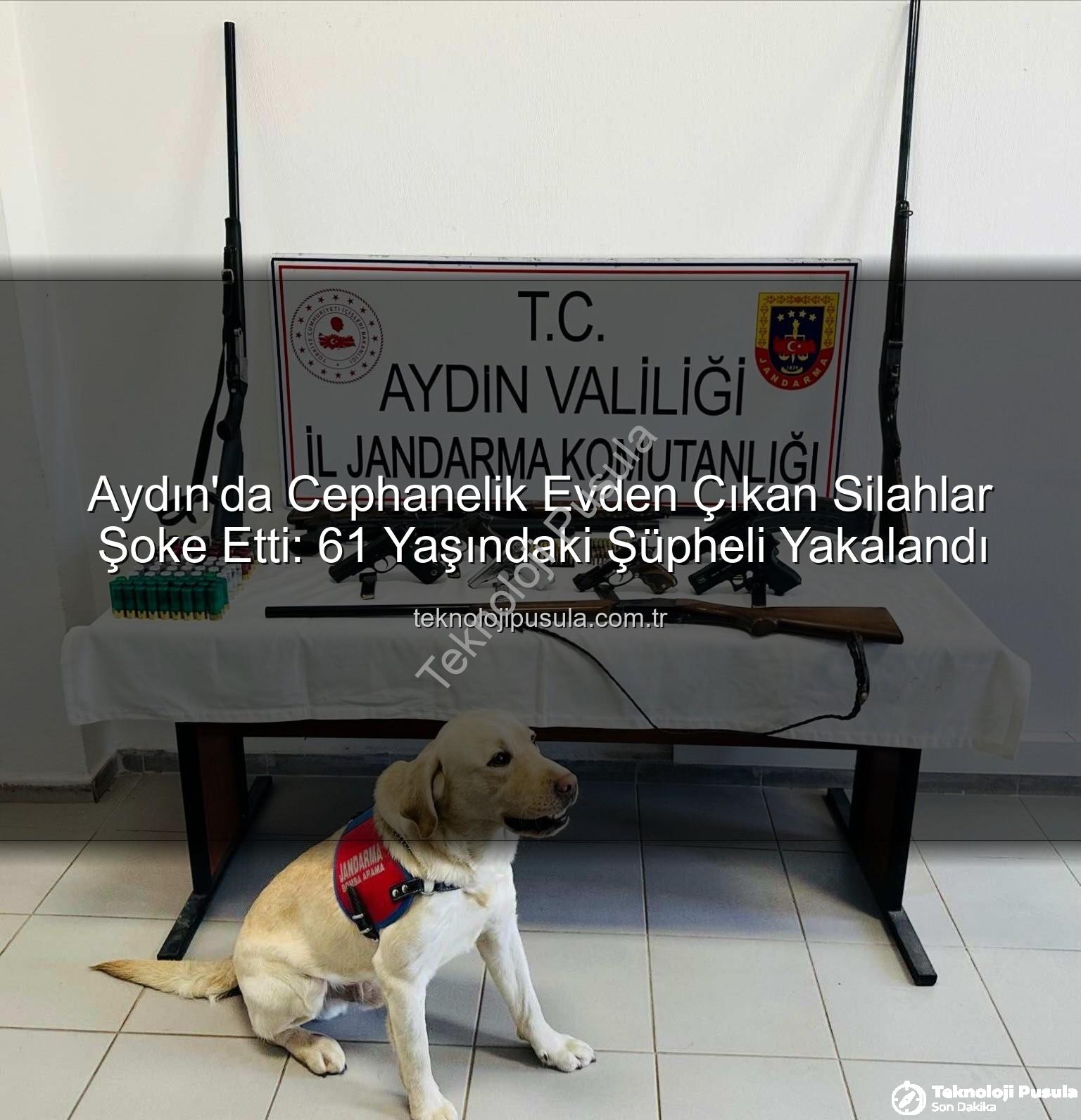 ruhsatsız silah - Aydın'da Cephanelik Evden Çıkan Silahlar Şoke Etti: 61 Yaşındaki Şüpheli Yakalandı