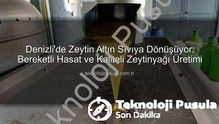 Denizli’de Zeytin Altın Sıvıya Dönüşüyor: Bereketli Hasat ve Kaliteli Zeytinyağı Üretimi