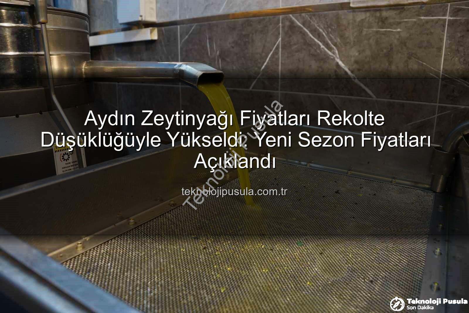 zeytinyağı fiyatları - Aydın Zeytinyağı Fiyatları Rekolte Düşüklüğüyle Yükseldi: Yeni Sezon Fiyatları Açıklandı