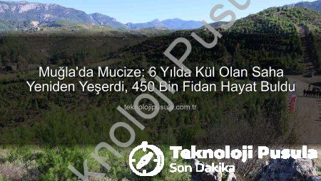 Muğla’da Mucize: 6 Yılda Kül Olan Saha Yeniden Yeşerdi, 450 Bin Fidan Hayat Buldu