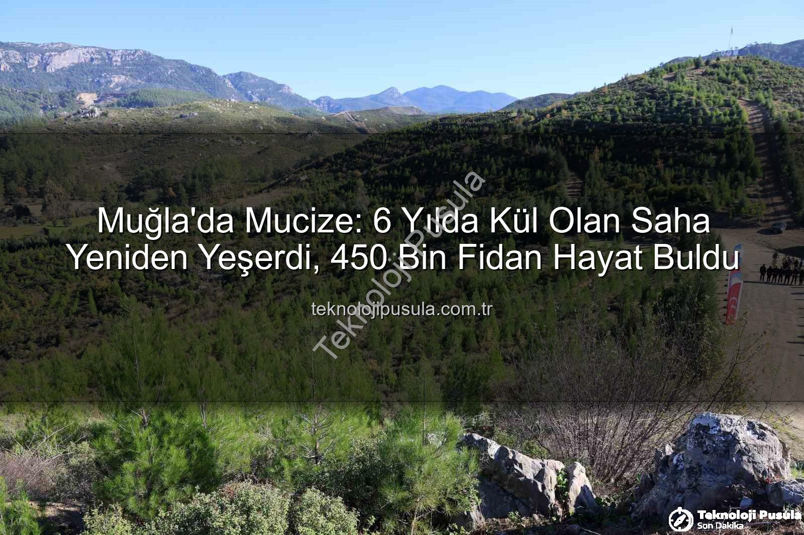Muğla'da Mucize: 6 Yılda Kül Olan Saha Yeniden Yeşerdi, 450 Bin Fidan Hayat Buldu