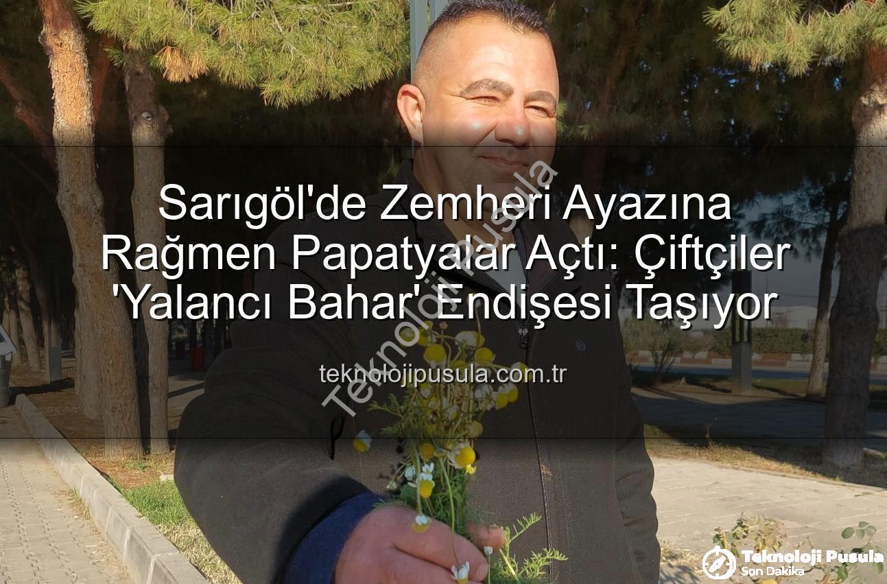 zemheri papatyaları - Sarıgöl'de Zemheri Ayazına Rağmen Papatyalar Açtı: Çiftçiler 'Yalancı Bahar' Endişesi Taşıyor